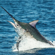 Никита Mostrains