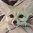 FlorinFox
